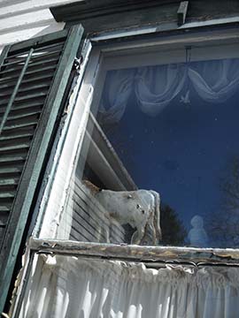 Photo of a window in an upstate NY farmhouse.